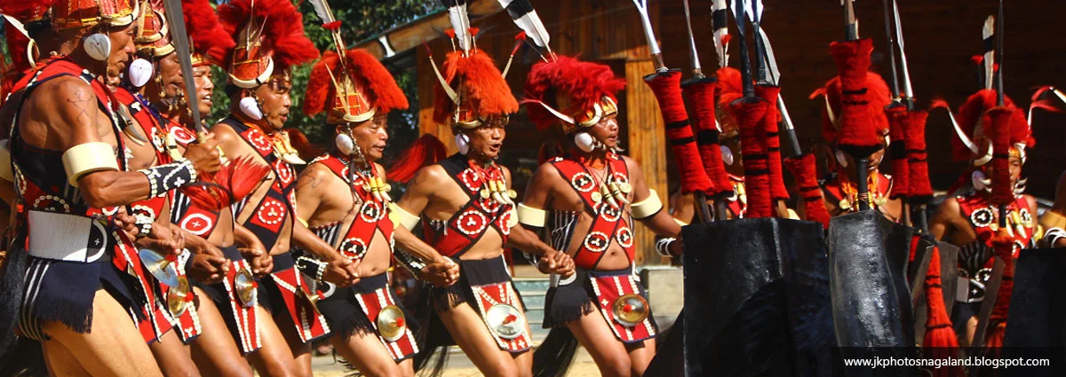 Latest Updates (Blog)